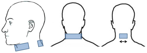 File:Fig5HeadandNeckArmor.png
