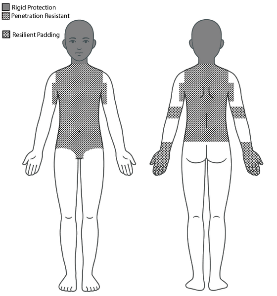 File:SCA C&T Body.png
