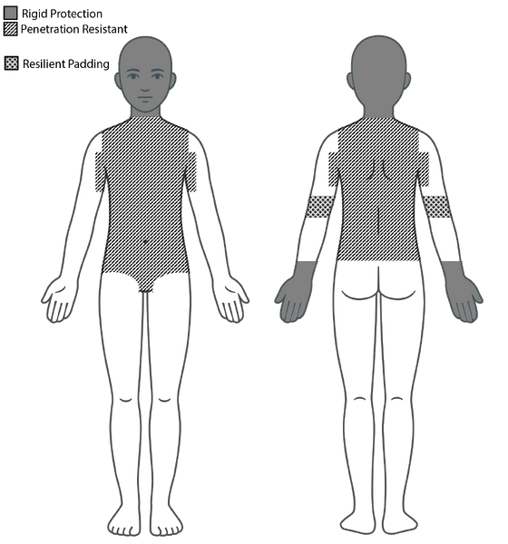 File:SCA C&T 2H Body.png