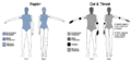 Thumbnail for version as of 06:48, 20 June 2024