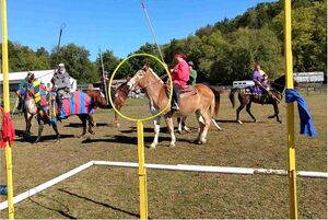 Dakyu being played