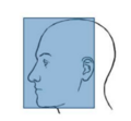 Thumbnail for version as of 06:50, 20 June 2024