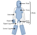 Thumbnail for version as of 06:44, 20 June 2024